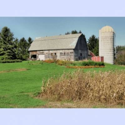Ferme Walkerton - Darspec