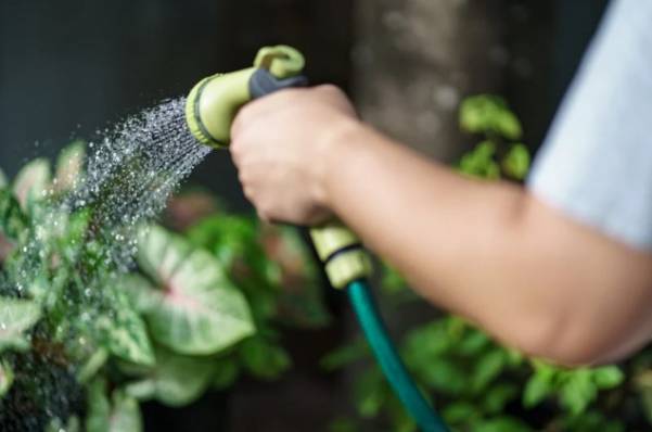 Boyau arrosage_Garden hose_NF - Darspec