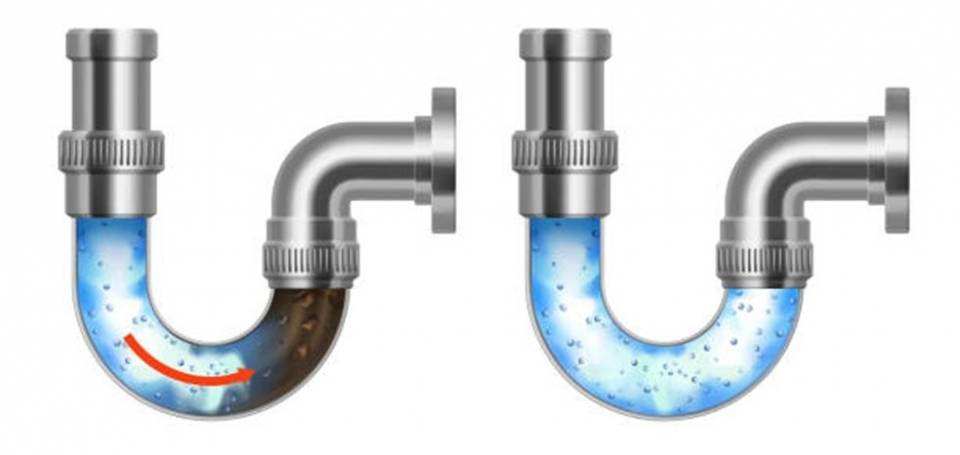 Débris et bactéries - Darspec