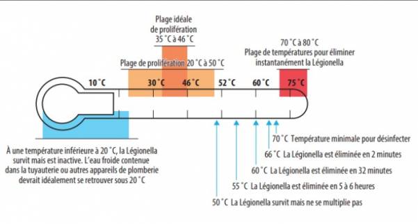 figure 1 CMMTQ - recirculation loop - Darspec