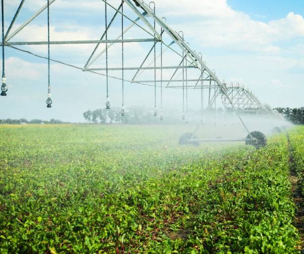 Irrigation agricole_Agricultural irrigation - Darspec